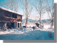 Winter Winter